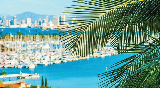 Book Your Hotel