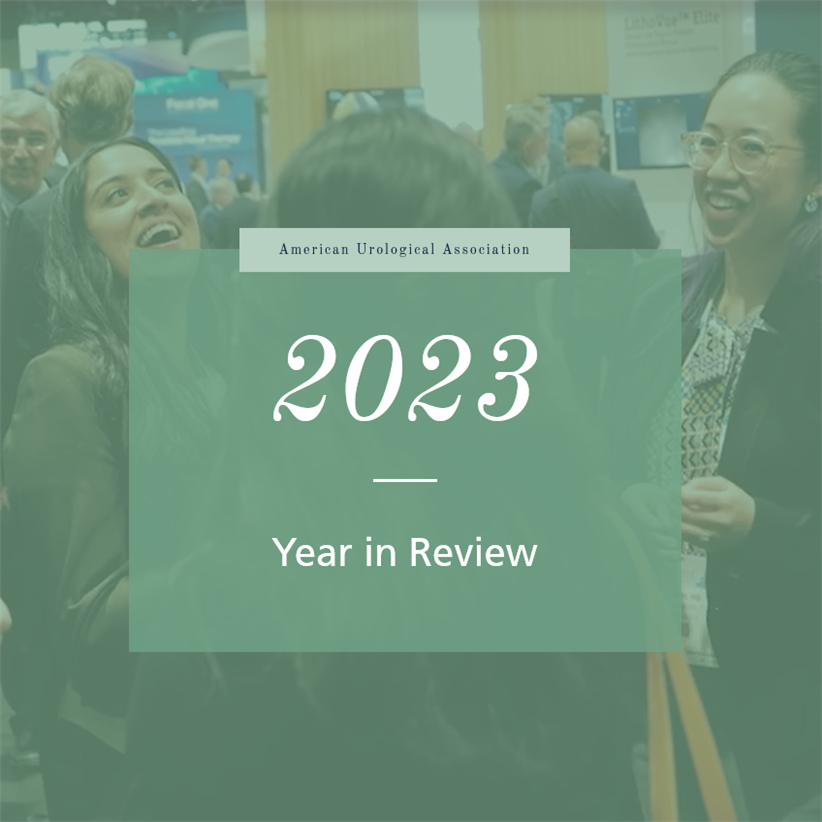 cover of 2023 Year in Review