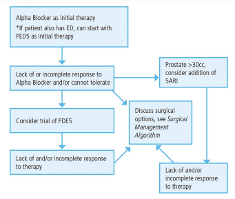 Figure 5. Trial of Medical therapy algorithm