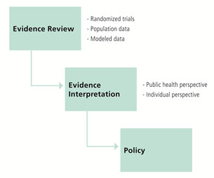 Figure 1: Influence of evidence and interpretation on policy creation