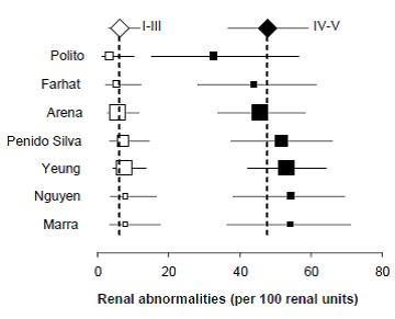 Figure 4. Forest plots of renal cortical abnormality rates by reflux grade