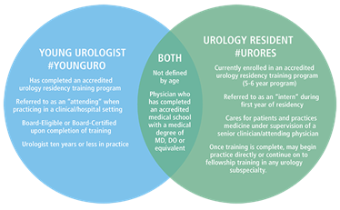 A vendiagram comparing the young urologists and urology residents program committees