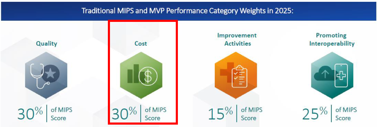 Performance Category: Cost