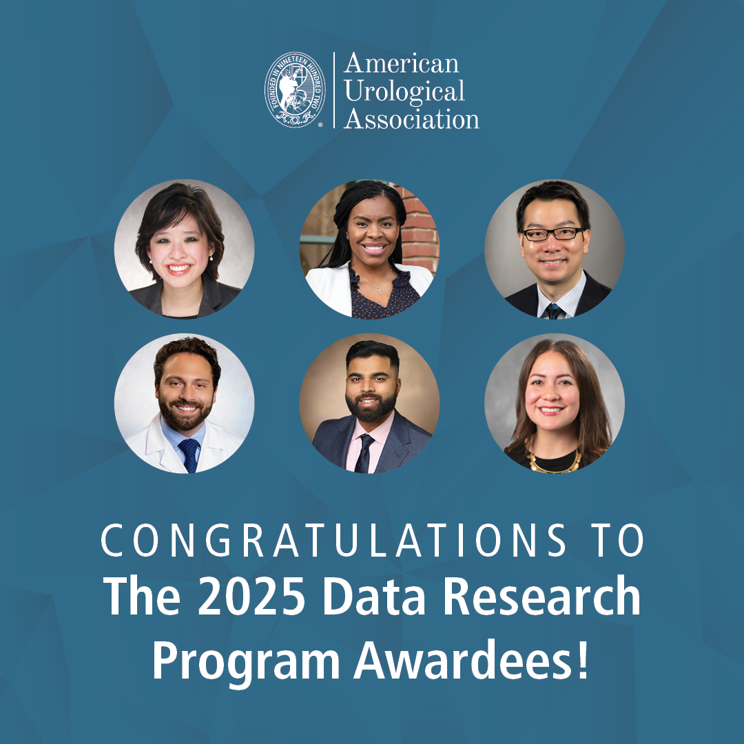 2025 Data Research Program Awardees