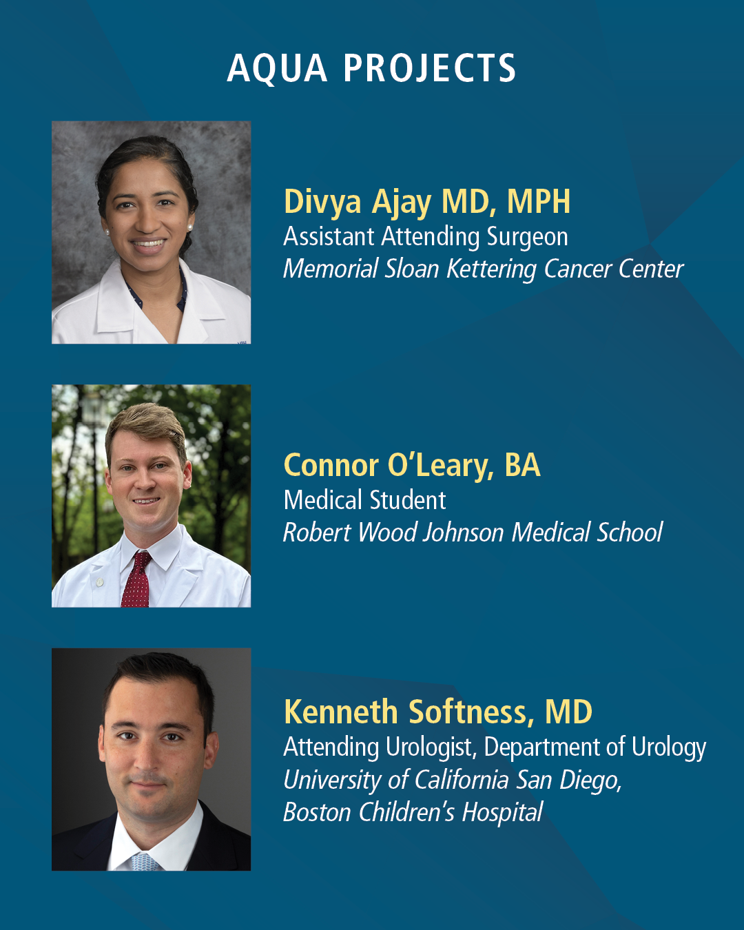 AUA Data Research Program