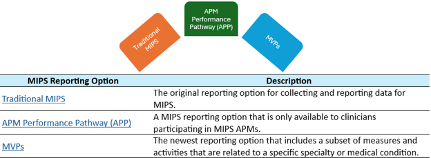 Figure 1. QPP Reporting Options