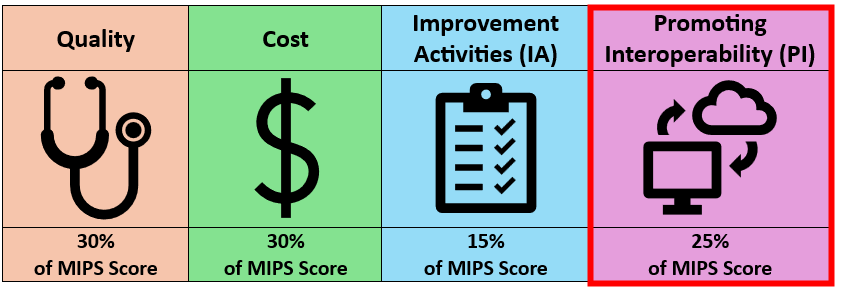 Performance Category: Promoting Interoperability