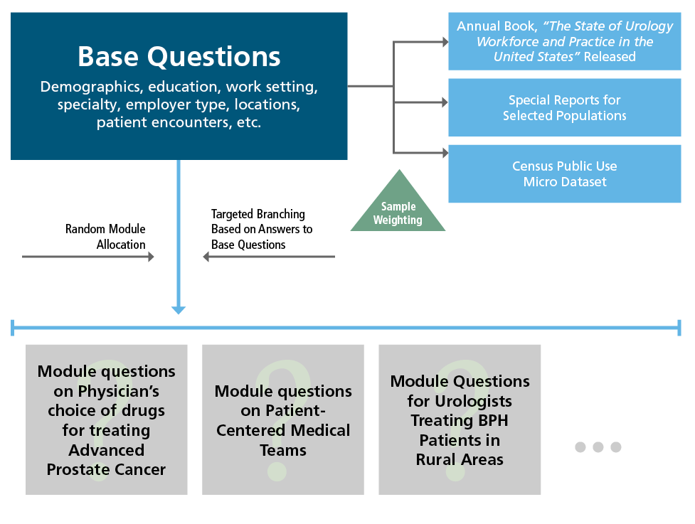 Census Questions